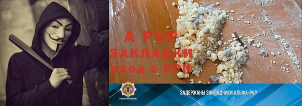 стафф Михайловск
