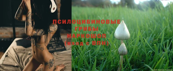 стафф Михайловск