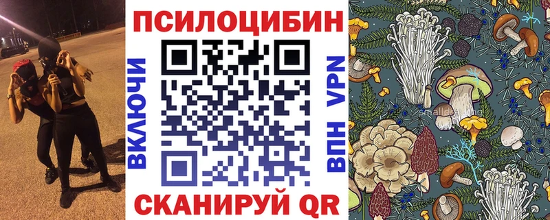 Псилоцибиновые грибы Cubensis  сколько стоит  Приволжск 